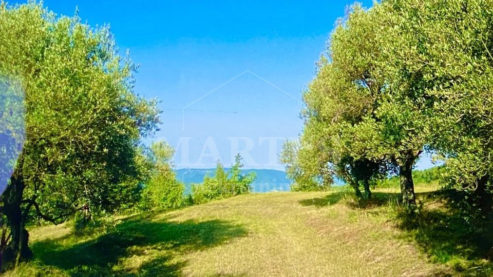 Land, 2257 m2, For Sale, Oslići
