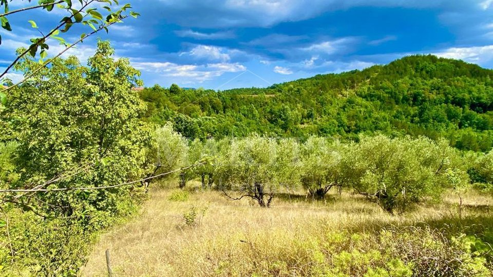 Land, 2257 m2, For Sale, Oslići